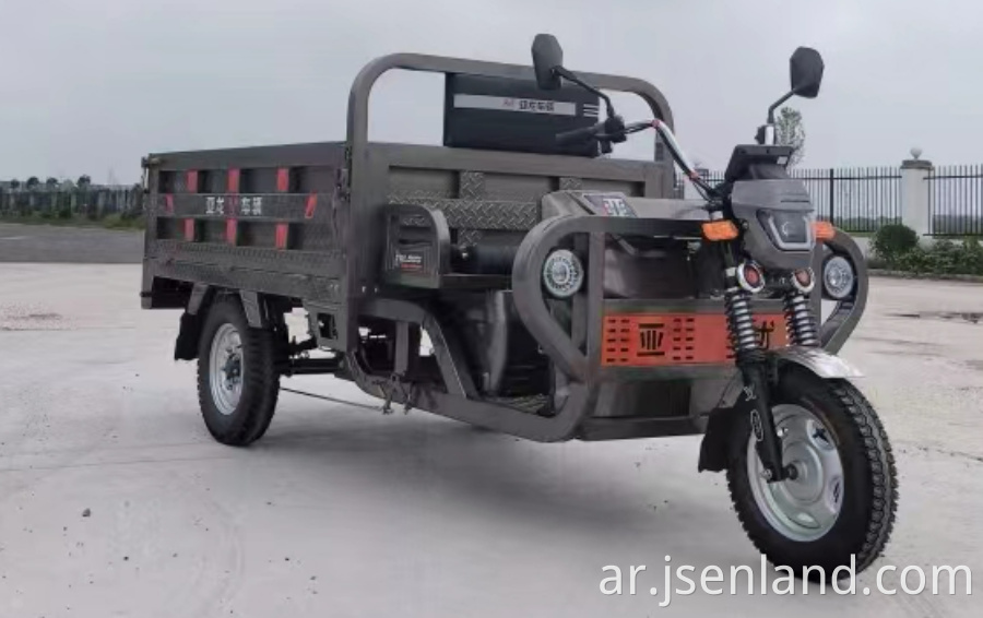 Motorized Tricycles